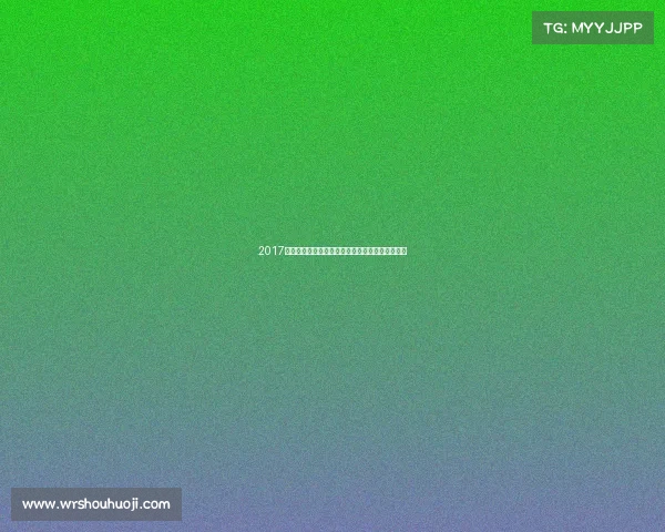 2017江苏赛事盛典回顾激情竞技与地方风采的完美展现