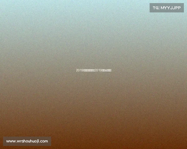 2019年国家赛事活动2019国赛a题思路