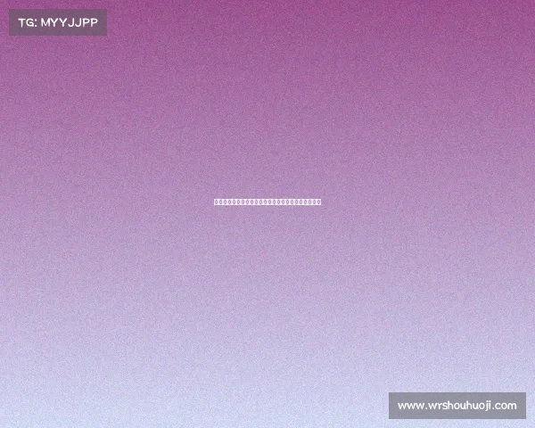 山东搏击赛事激情开战齐鲁英雄齐聚擂台争霸荣耀时刻