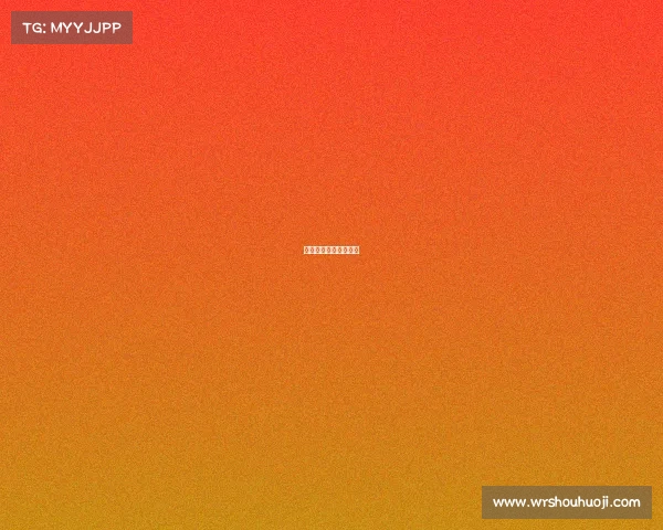 帆船赛赛事感想怎么写