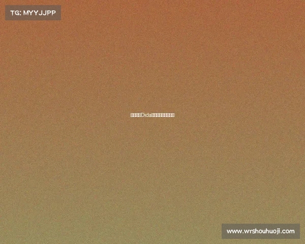 王牌猎手Dida天霸战队的制胜法则